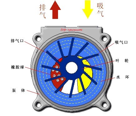 2BV型水環式真空泵及壓縮機工作原理圖